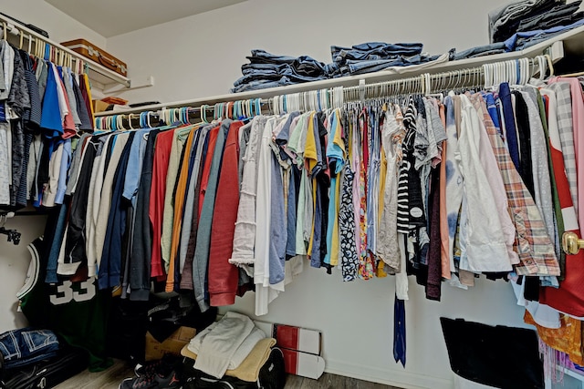 spacious closet with hardwood / wood-style flooring