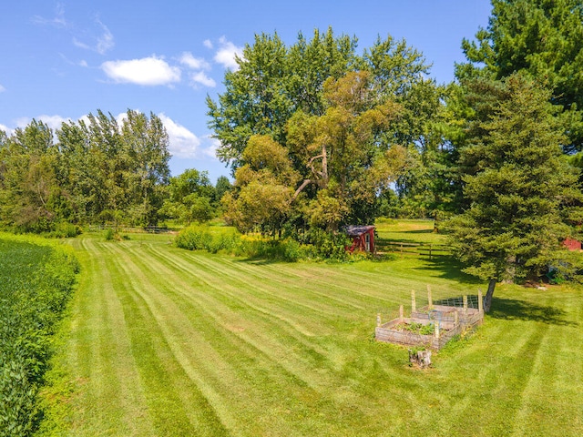 view of yard featuring a rural view