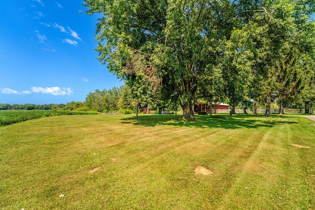 view of yard with a rural view