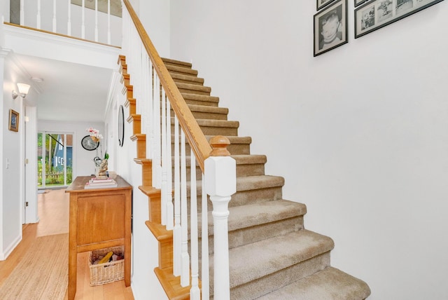 stairs with hardwood / wood-style floors