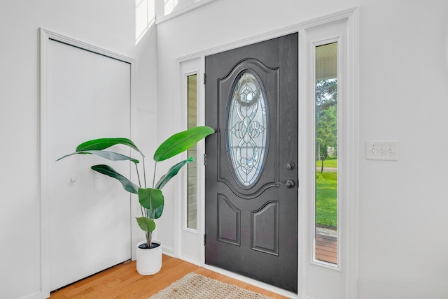 foyer entrance featuring hardwood / wood-style flooring