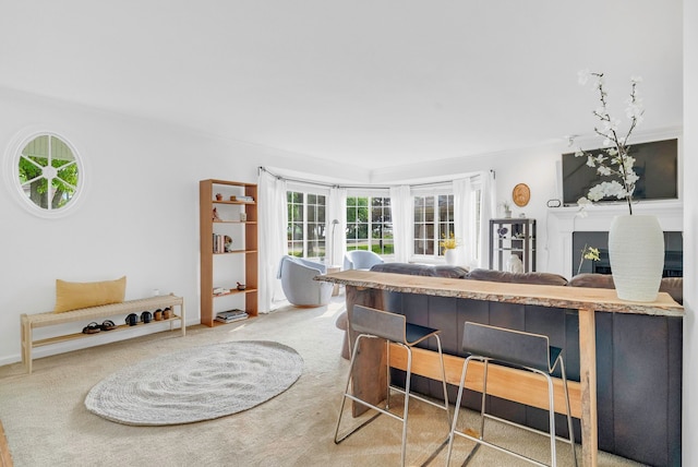 kitchen with carpet floors