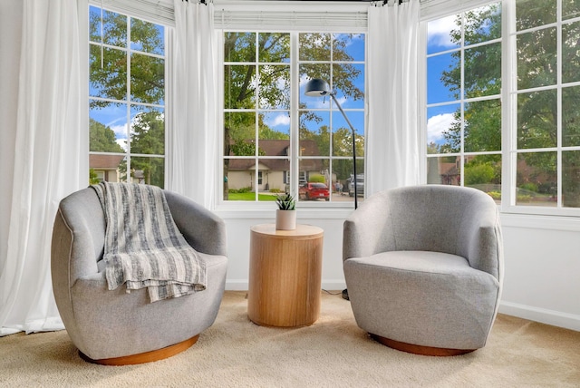 living area featuring carpet flooring