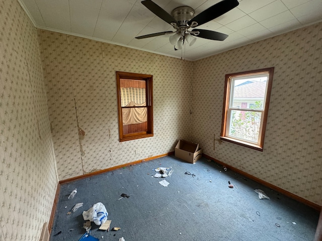 carpeted spare room with ceiling fan and ornamental molding