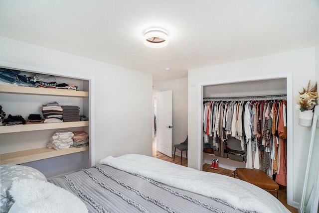 bedroom featuring wood-type flooring and a closet