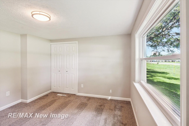 carpeted empty room with a textured ceiling and a wealth of natural light