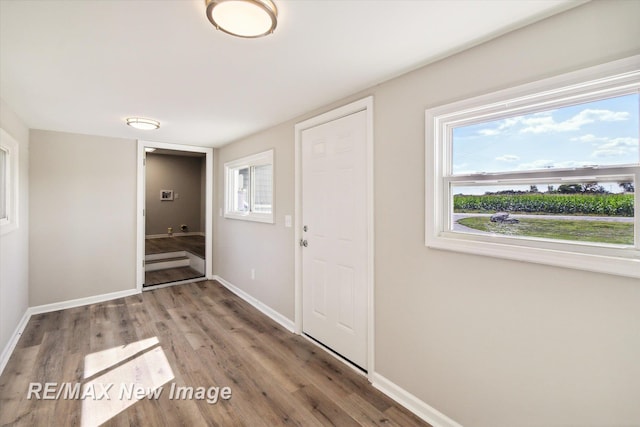 interior space with wood-type flooring and plenty of natural light