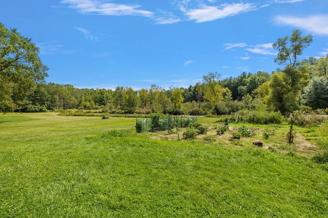 view of landscape featuring a rural view