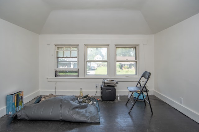 living area with a healthy amount of sunlight and lofted ceiling