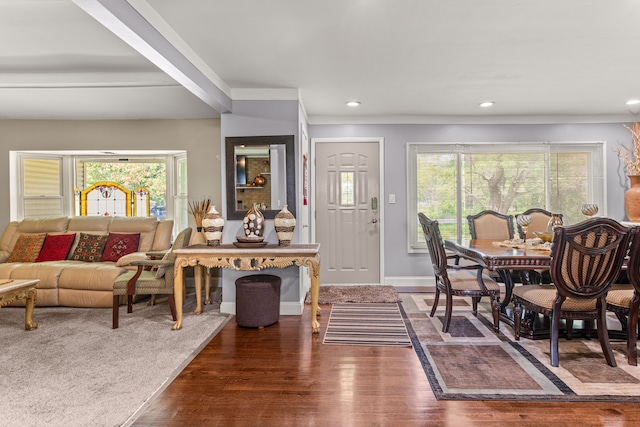 interior space with dark hardwood / wood-style flooring and a wealth of natural light