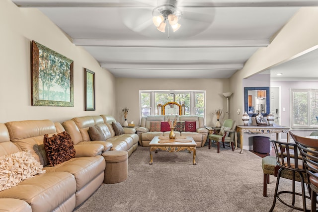 carpeted living room featuring lofted ceiling with beams, plenty of natural light, and ceiling fan