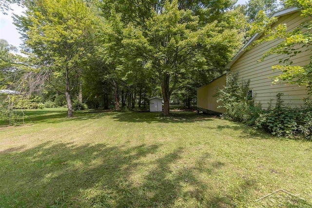 view of yard with a shed