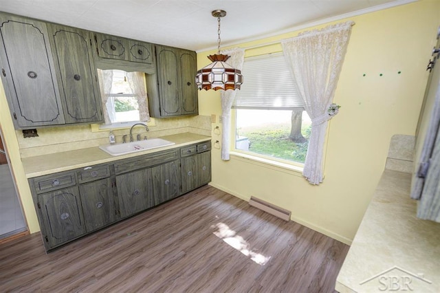 kitchen featuring a wealth of natural light, sink, and dark wood-type flooring