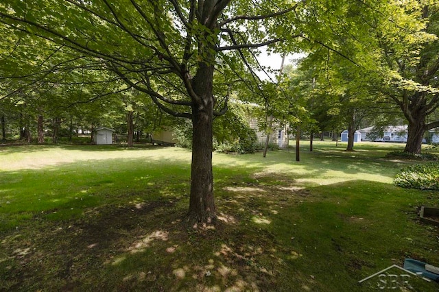 view of yard featuring a storage shed