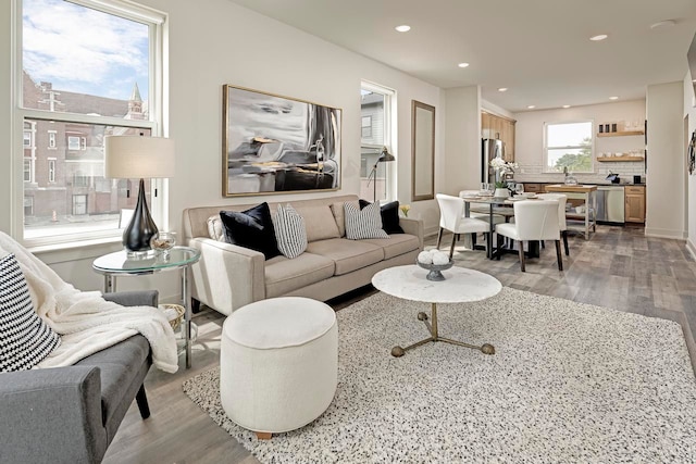 living room featuring hardwood / wood-style flooring