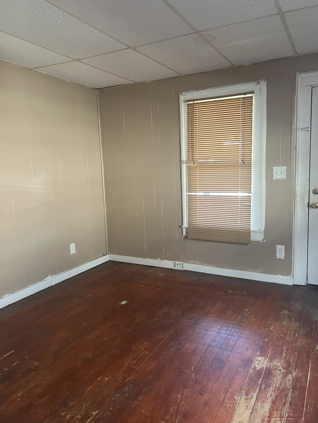 empty room featuring a drop ceiling and dark hardwood / wood-style flooring