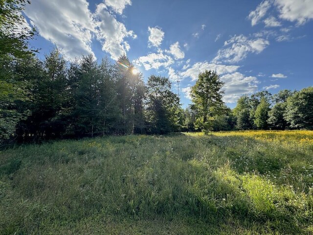 5490 S Harrison Rd, Houghton Lake, MI 48629 - view of undeveloped land