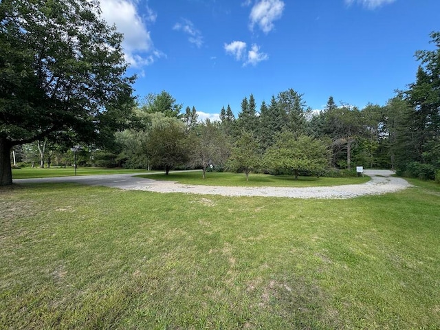view of home's community featuring a lawn