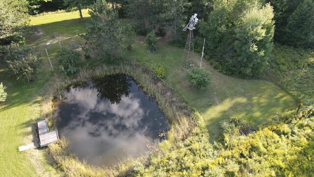 5490 S Harrison Rd, Houghton Lake, MI 48629 - aerial view of a large body of water