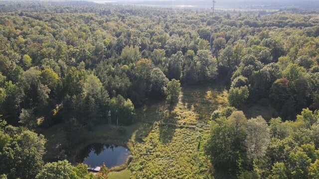 5490 S Harrison Rd, Houghton Lake, MI 48629 - aerial view of property and surrounding area featuring a forest and a large body of water