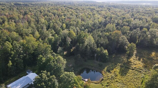5490 S Harrison Rd, Houghton Lake, MI 48629 - view of property location featuring a heavily wooded area and a large body of water