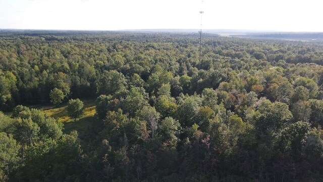5490 S Harrison Rd, Houghton Lake, MI 48629 - view of property location with a forest
