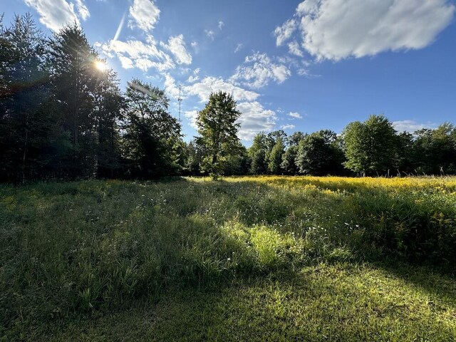 5490 S Harrison Rd, Houghton Lake, MI 48629 - view of undeveloped land