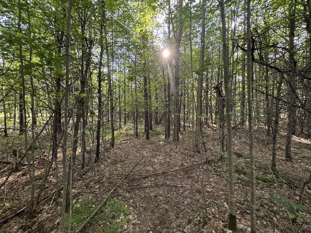 5490 S Harrison Rd, Houghton Lake, MI 48629 - view of wooded area