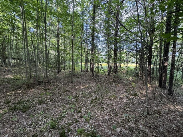 5490 S Harrison Rd, Houghton Lake, MI 48629 - view of local wilderness
