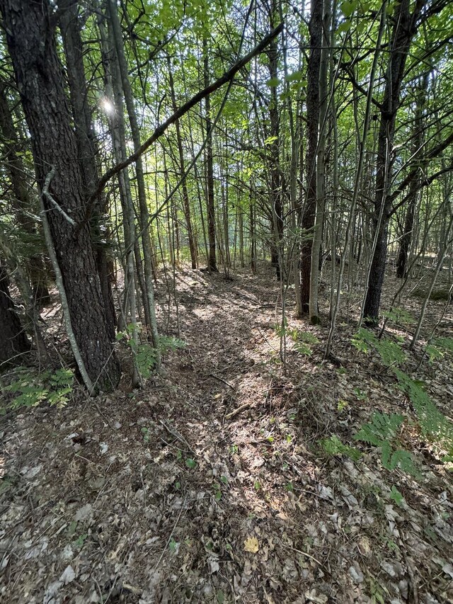5490 S Harrison Rd, Houghton Lake, MI 48629 - view of tree filled area