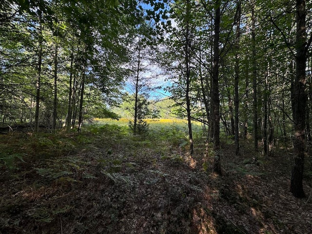 view of local wilderness