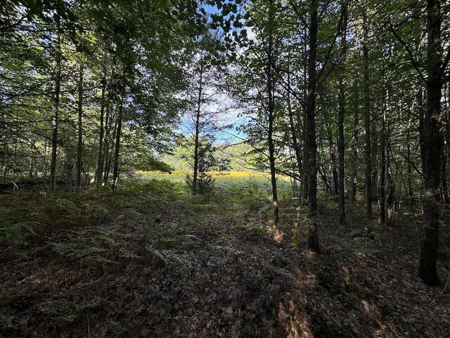 5490 S Harrison Rd, Houghton Lake, MI 48629 - view of local wilderness