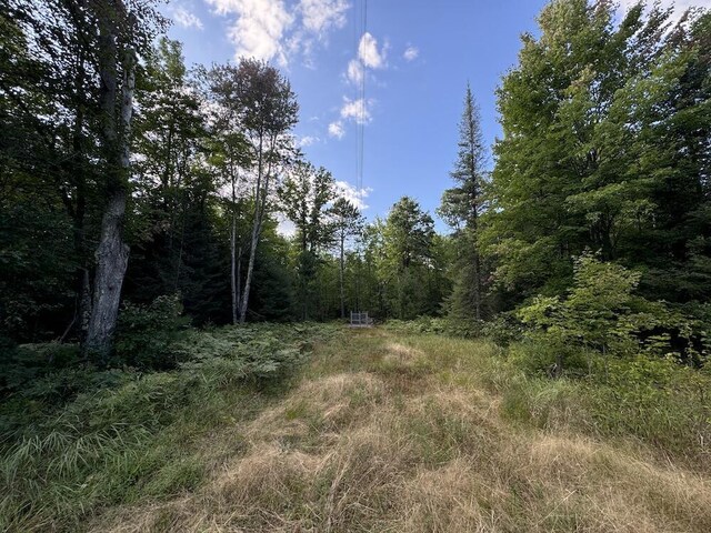 5490 S Harrison Rd, Houghton Lake, MI 48629 - view of wooded area