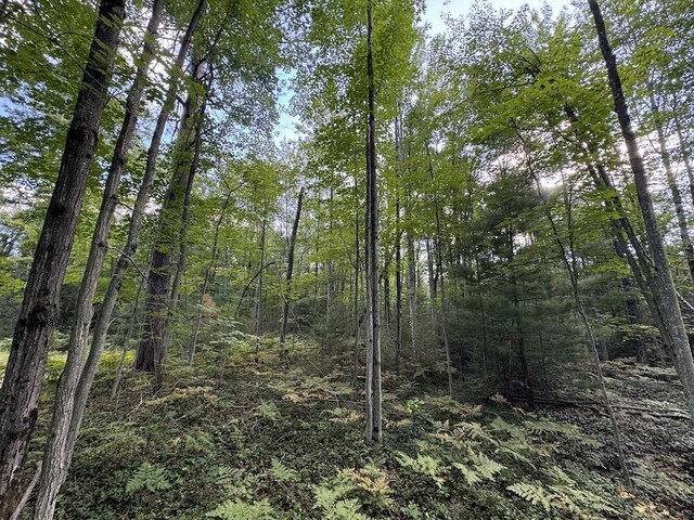 5490 S Harrison Rd, Houghton Lake, MI 48629 - view of woods