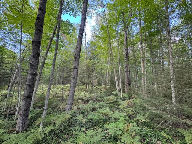 view of nature