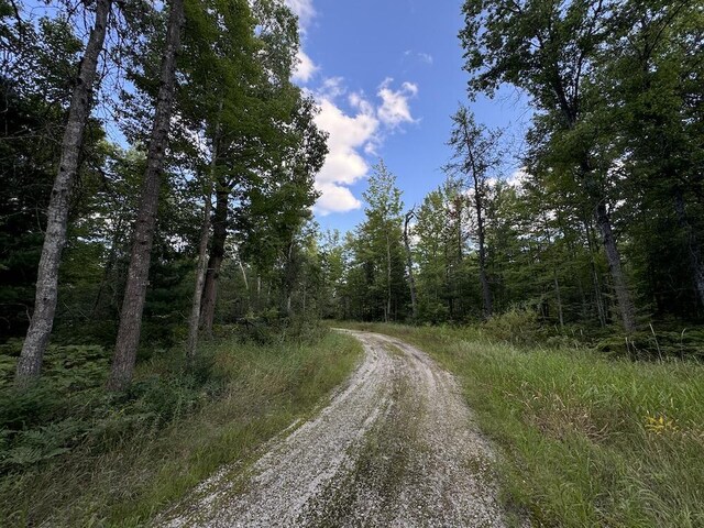 5490 S Harrison Rd, Houghton Lake, MI 48629 - view of dirt / gravel road featuring a forest view