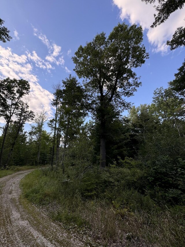5490 S Harrison Rd, Houghton Lake, MI 48629 - view of undeveloped land