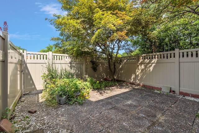 view of yard with a patio