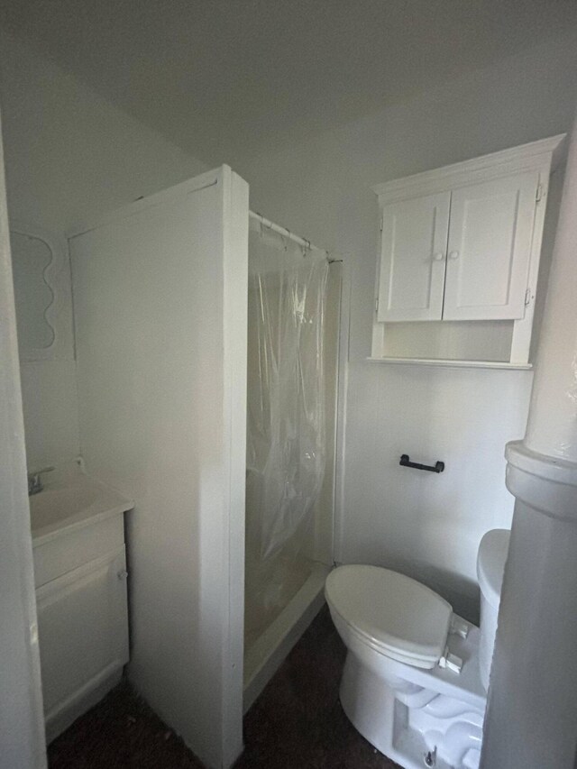1408 E Main St, Kalamazoo, MI 49048 - full bath with toilet, vanity, and a shower with shower curtain