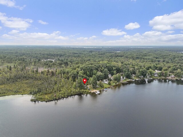 7504 W Dakota Trl, Lake City, MI 49663 - photo 52