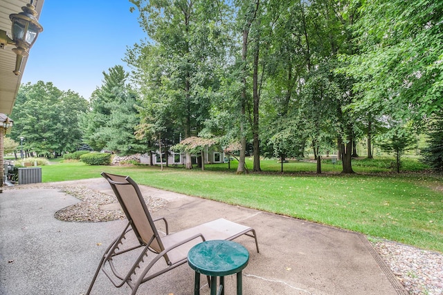 29100 Heritage Ln, Paw Paw, MI 49079 - view of patio / terrace with view of scattered trees