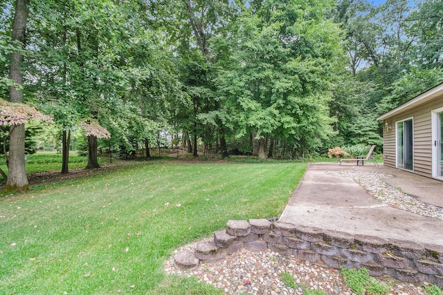 view of yard featuring a patio area