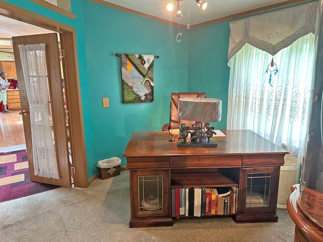 carpeted home office with ornamental molding