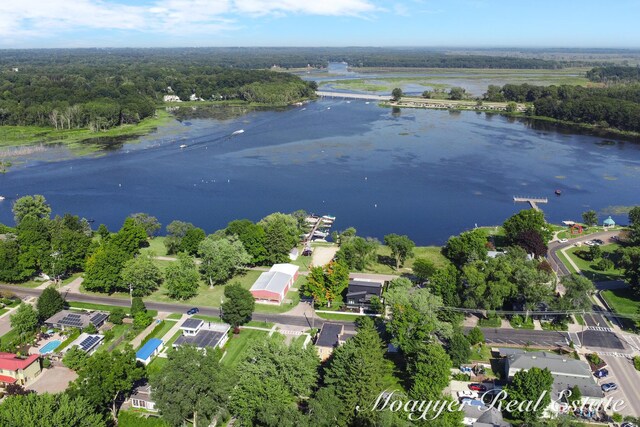15 E Wall St, Douglas, MI 49406 - bird's eye view of a nearby body of water and a heavily wooded area