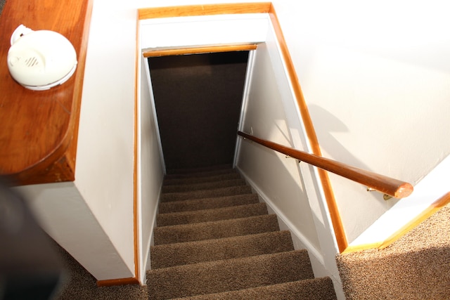 stairs featuring carpet