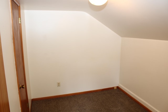 bonus room with carpet floors and vaulted ceiling