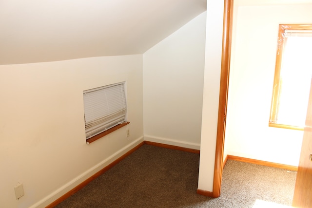 bonus room with lofted ceiling and carpet floors