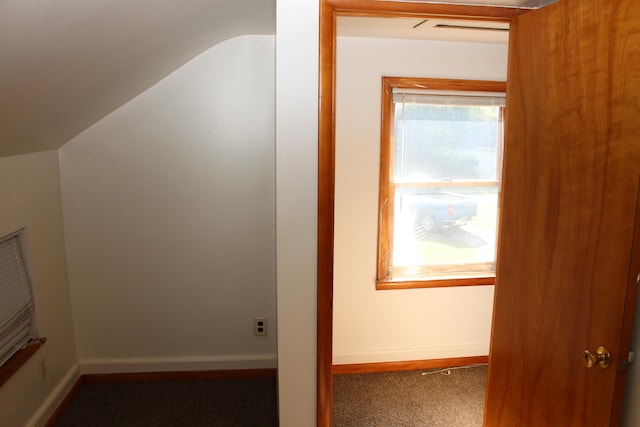 bonus room with carpet flooring and lofted ceiling