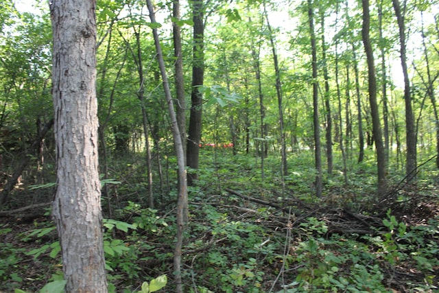 view of landscape