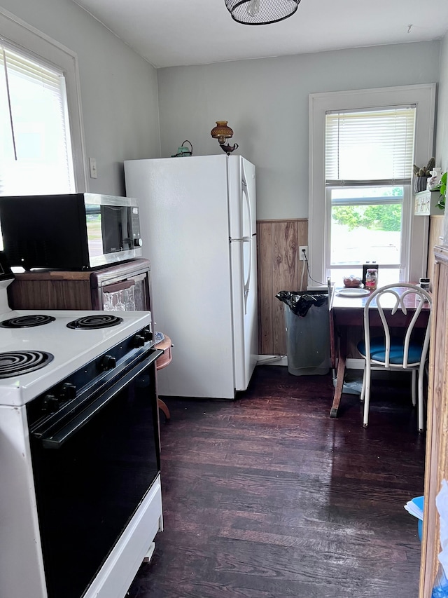 kitchen with dark hardwood / wood-style floors, white appliances, and a wealth of natural light